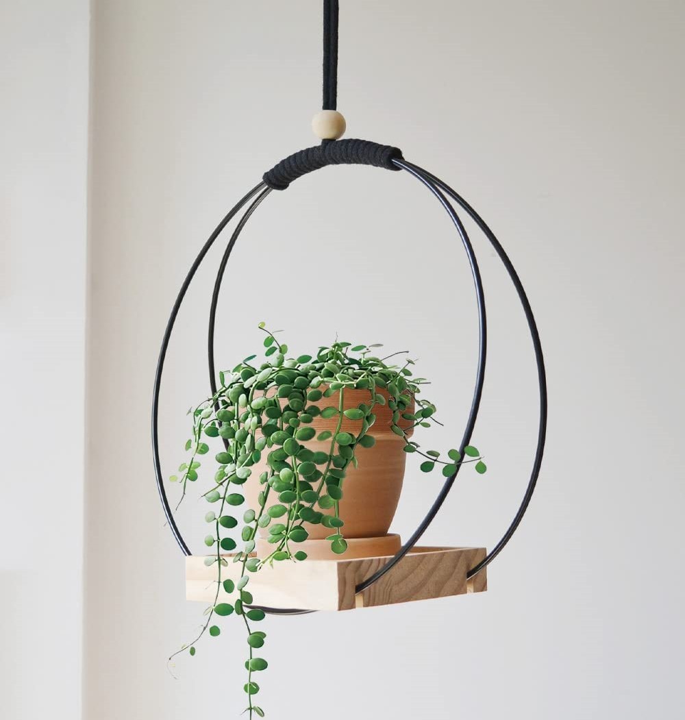 ceiling hanging plant shelf round