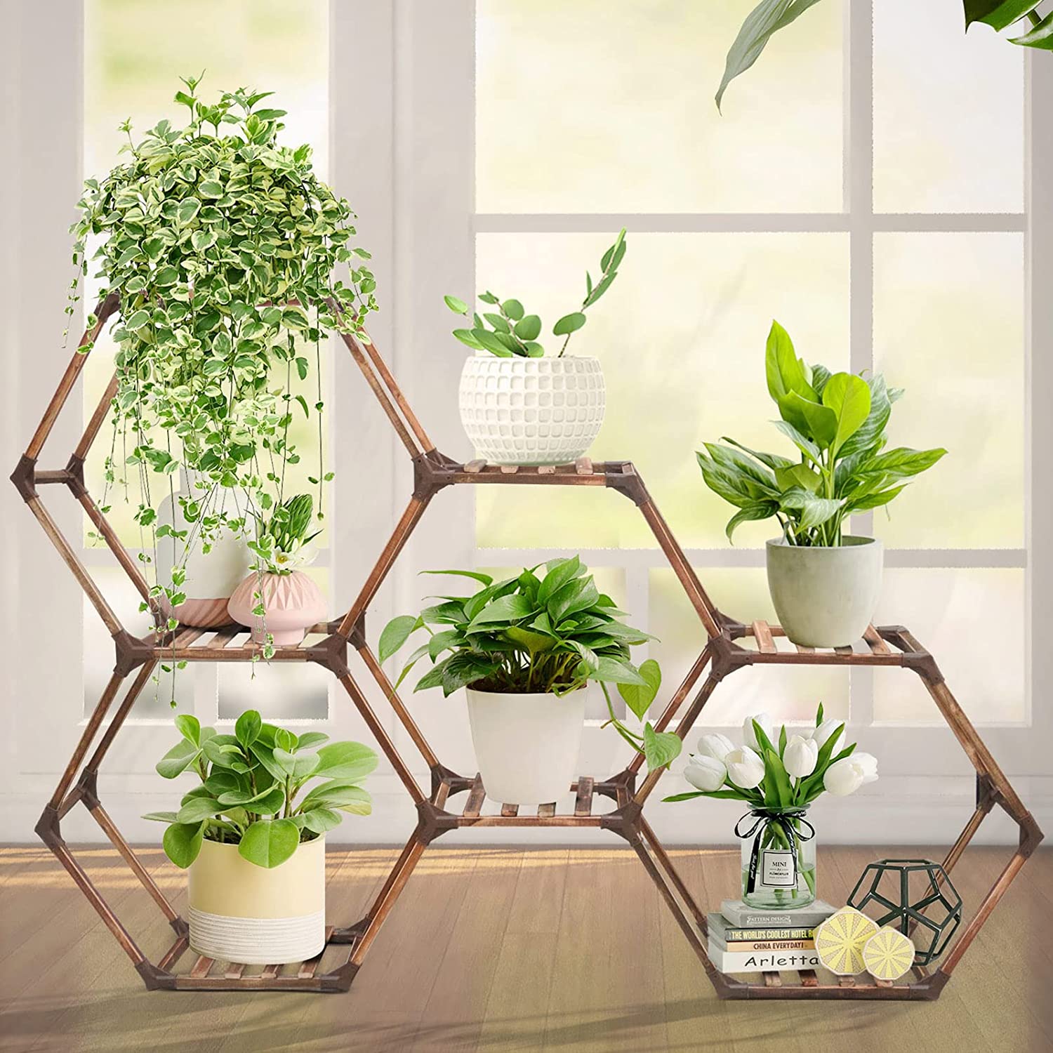 hexagon plant home shelf