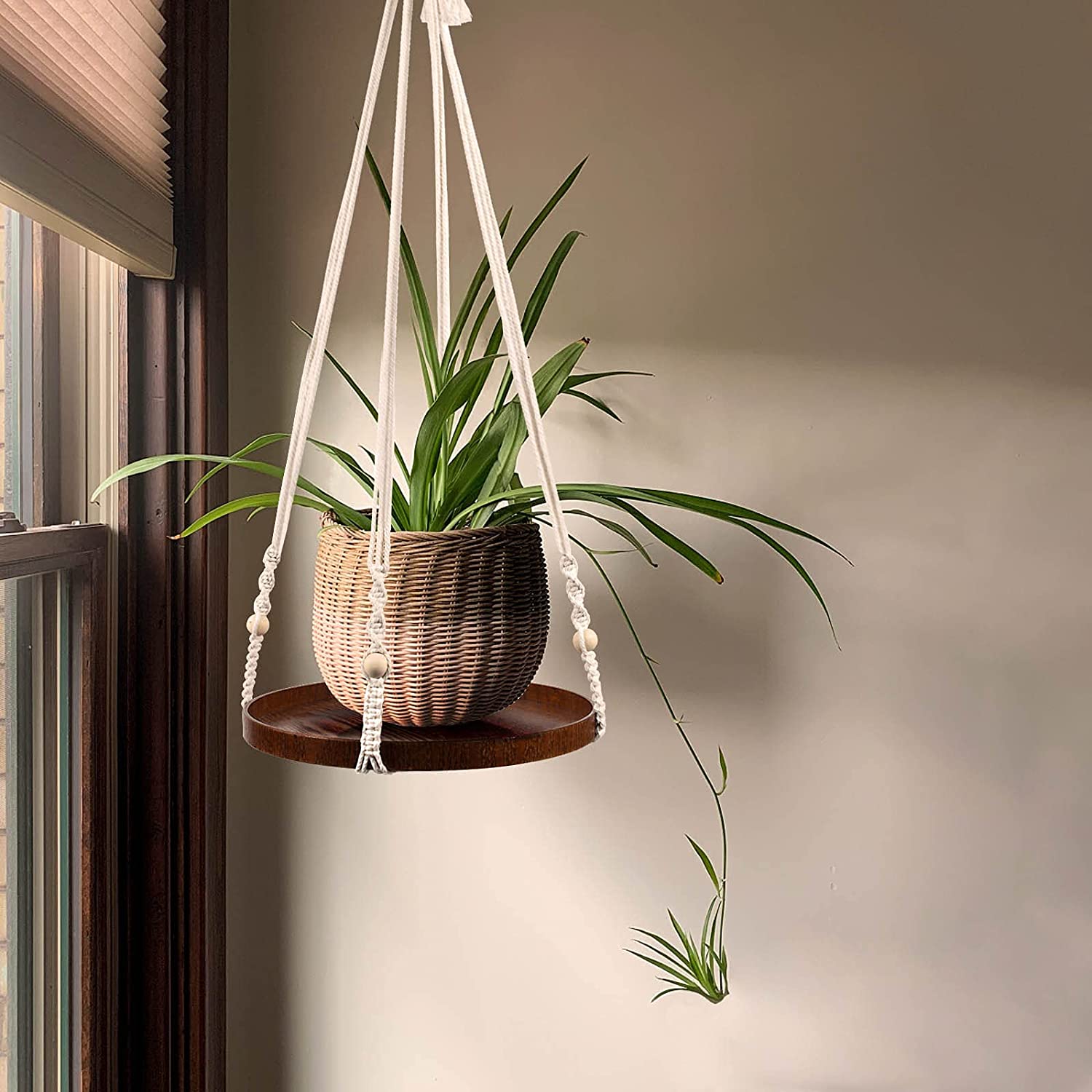 hanging rope plant stand with spider plant