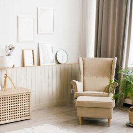 Parlor Palm livens up living room