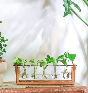 propogation station science