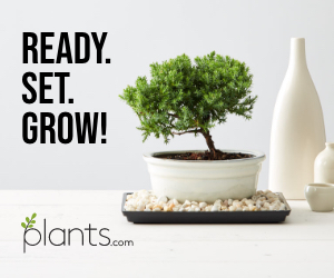 grow plants.com ad